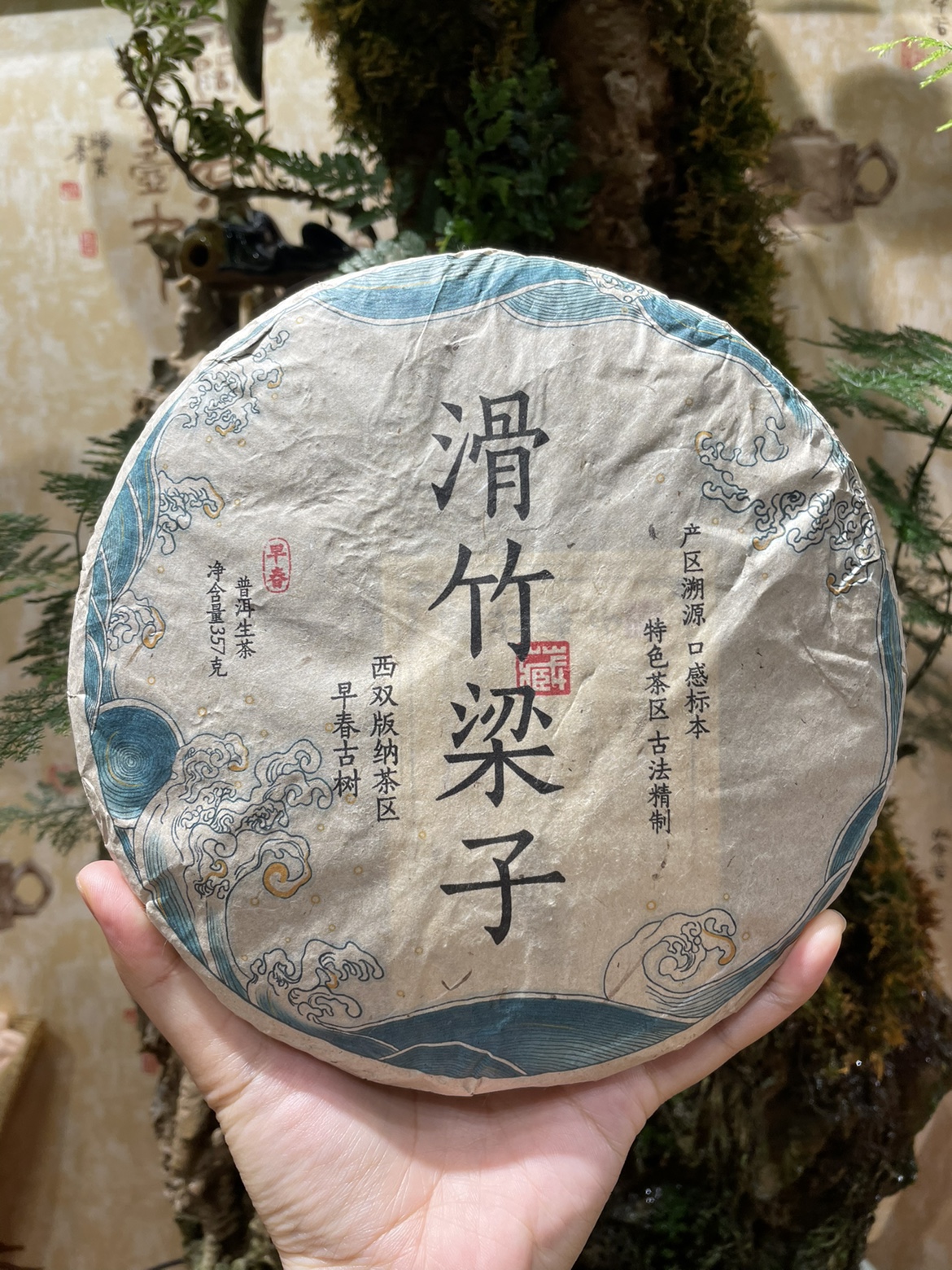2022年头春滑竹梁子 纯料压制 福缘茶业 普洱茶生茶 特价包邮