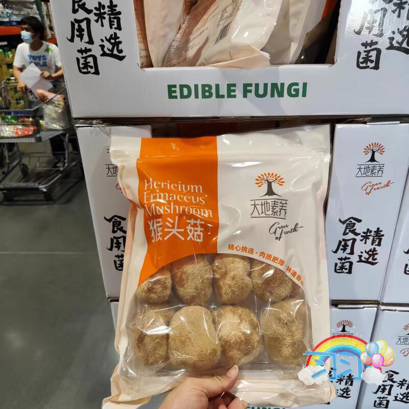 大地素养猴头菇食用菌煲汤火锅