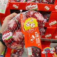 Costco purchasing MINI BABYBEL mixed Flavor Cheese with high calcium, imported from France, 2 options thumbnail 3