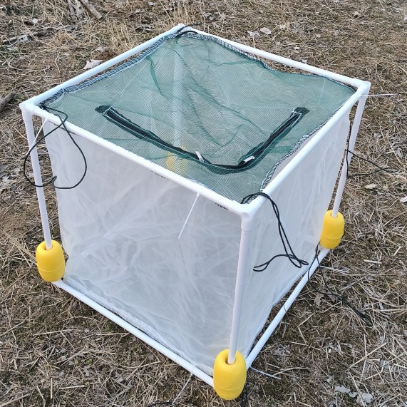 金魚水花孵化隔離網箱魚苗100目