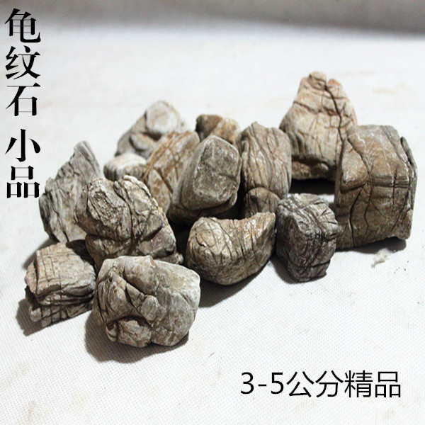 精品龟纹石天然原石盆景石根抱石造景石假山石鱼缸石奇石小龟纹石