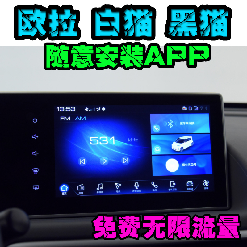 欧拉r1黑猫白猫安装APP软件