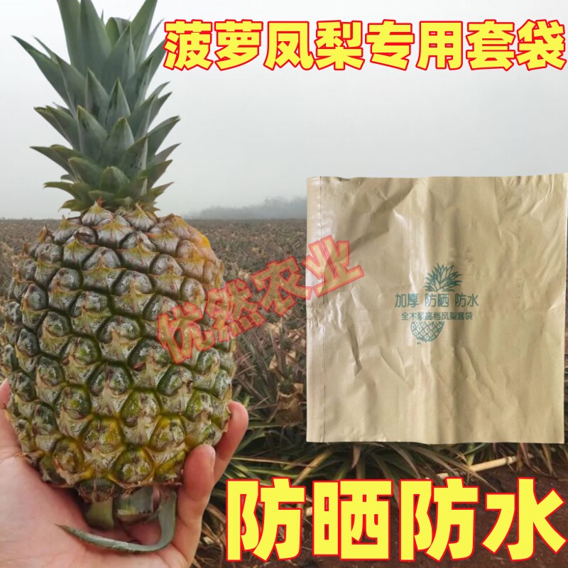 菠萝专用套袋凤梨防虫防晒套袋无眼菠萝凤梨黄梨加厚牛皮纸袋子