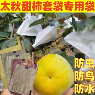 柿子套袋专用袋太秋柿子防虫防鸟套袋黄晶果红柿纸袋柿子果树套袋