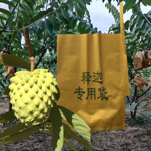 释迦专用防虫防水保护套袋