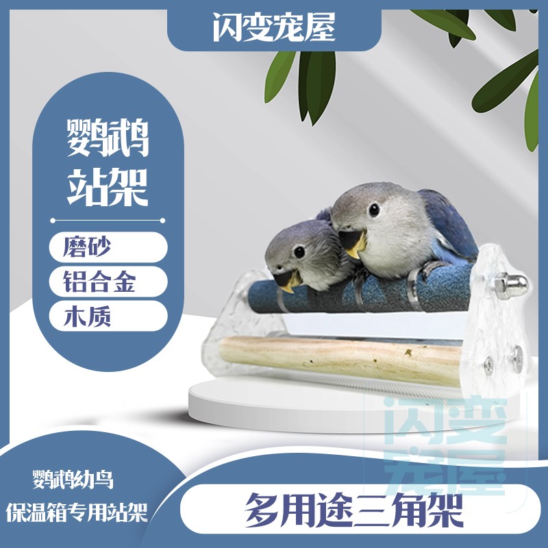 鹦鹉保温箱专用站架玩具磨嘴磨爪