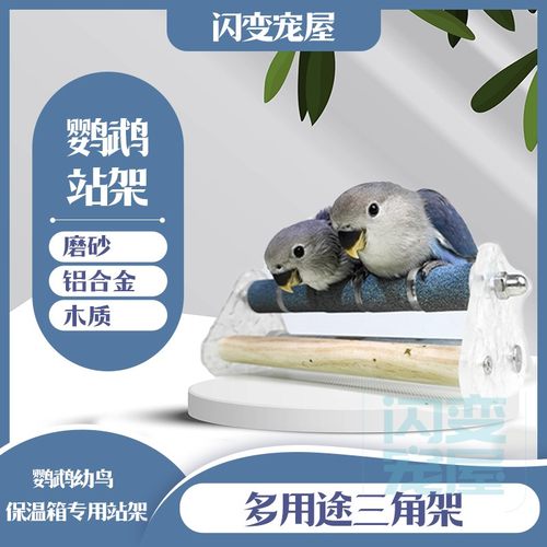鹦鹉保温箱专用站架玩具磨嘴磨爪
