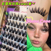 6D毛绒绒轻欧美W卷假睫毛浓密卷翘亚裔混血分段式 美式 沙龙kitty