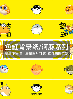 鱼缸背景贴纸河豚系列斑马狗头鱼黄色卡通图案背景画高清背景定制