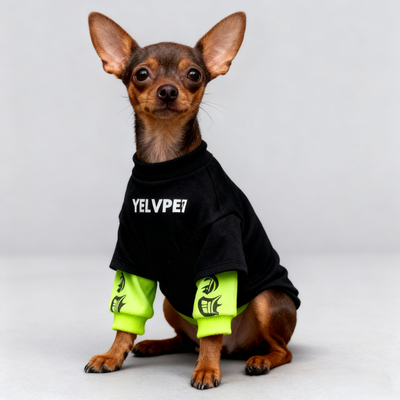 迷你杜宾犬小鹿犬专用狗狗衣服秋冬季小型犬加绒保暖卫衣冬天棉衣