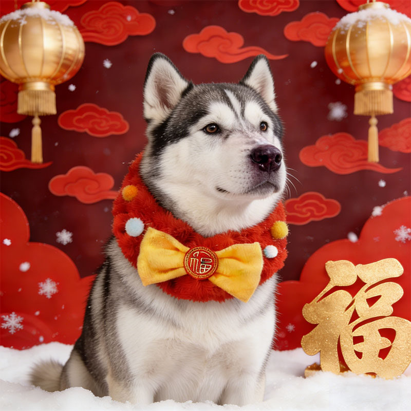 哈士奇专用狗狗新年围脖过年红色喜庆围巾宠物装饰品大狗围兜春节,宠物/宠物食品及用品,围巾/口水巾,淘宝优惠券,粉丝福利购,淘宝优惠卷
