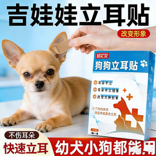 狗狗立耳贴吉娃娃立耳器小狗专用立耳神器辅助器耳朵固定竖耳杜宾