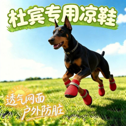 杜宾幼犬专用狗狗凉鞋小狗鞋子夏透气宠物狗鞋夏季软底甩不掉防脏