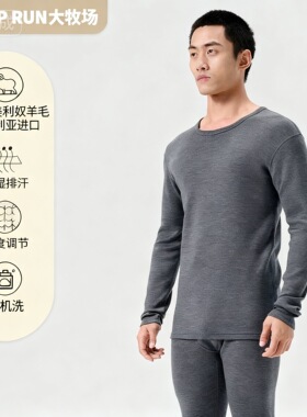 SHEEP RUN大牧场 美利奴羊毛男士17.5微米230-400g保暖上衣抑菌