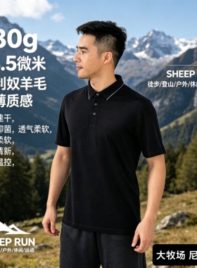 SHEEP RUN大牧场 美利奴羊毛男士商务休闲纯色POLO衫短袖吸湿速干