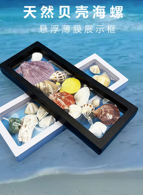 天然海螺贝壳海玻璃生日相框