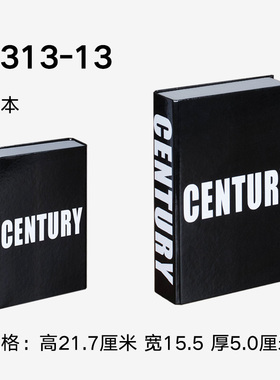 仿真书英文简约现代风桌面摆件