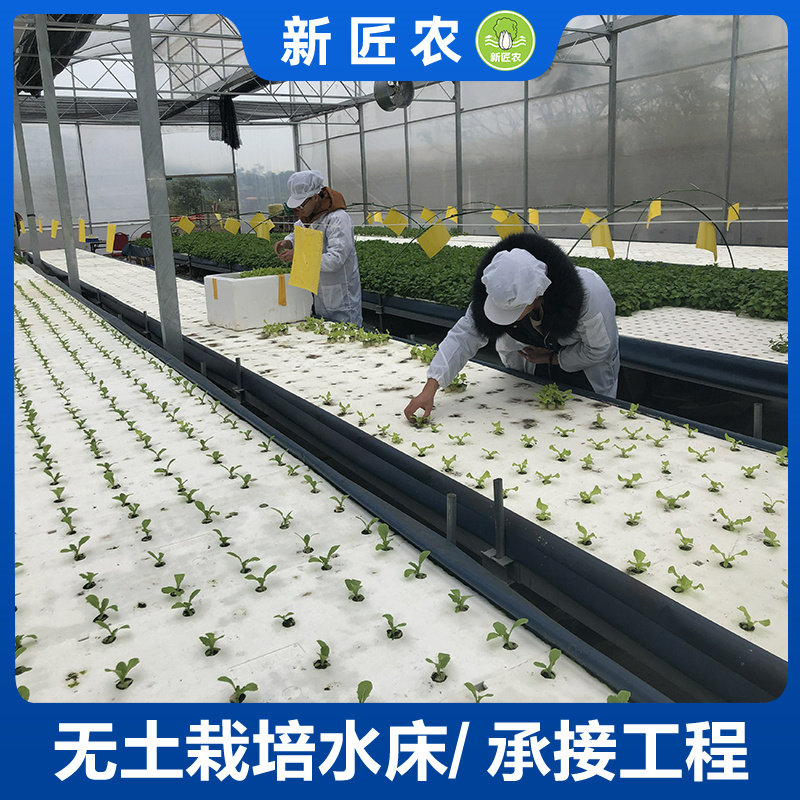 无土栽培设备楼顶学校温室大棚水培蔬菜瓜果叶菜平面型水床种植架
