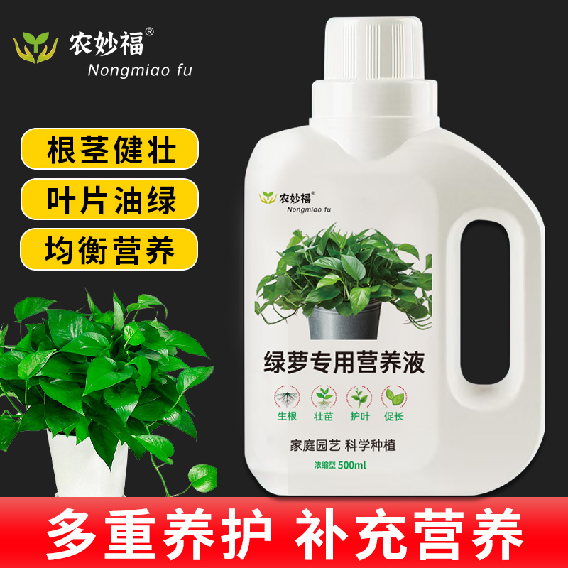 绿萝营养液免稀释花肥料绿植盆栽水培绿萝富贵竹叶片浓绿防治黄叶
