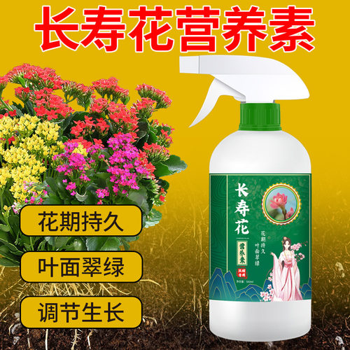 长寿花营养素壮苗增营养四季通用易吸收花卉绿植通用大容量直喷型