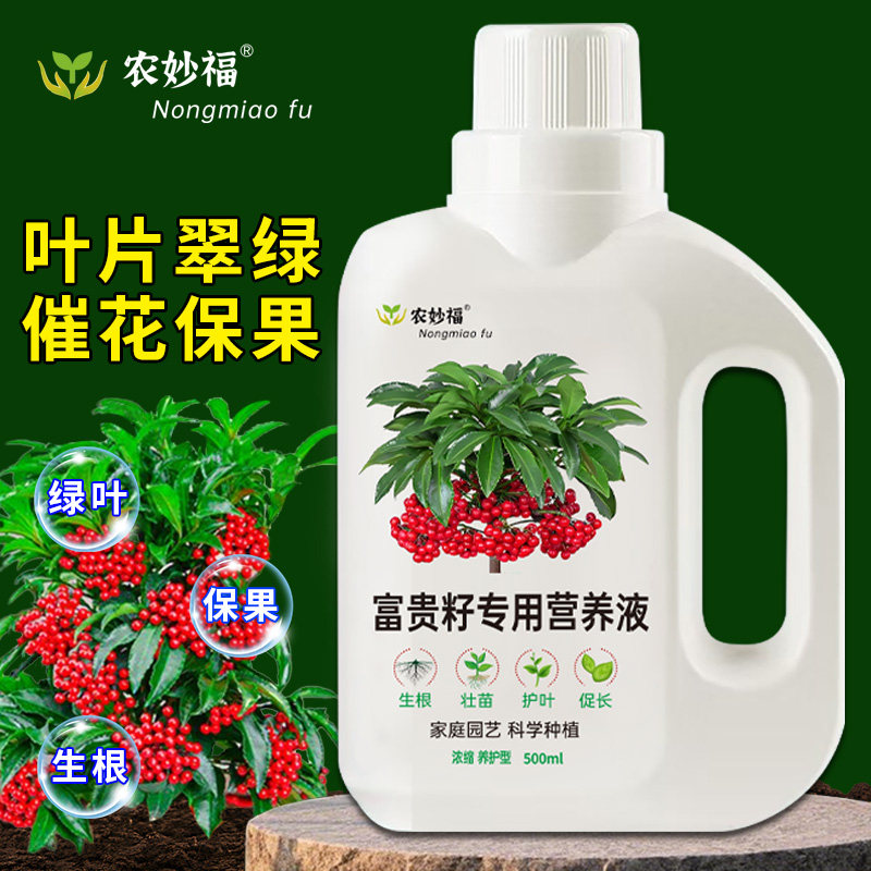 富贵籽专用营养液盆栽金玉满堂绿植肥料家养室内植物液体肥水溶肥,鲜花速递/花卉仿真/绿植园艺,家庭园艺肥料,淘宝优惠券,粉丝福利购,淘宝优惠卷