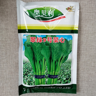 翠绿9号菜心种子中晚熟圆叶菜苔种籽叶片椭圆亮绿茎秆油绿耐湿热