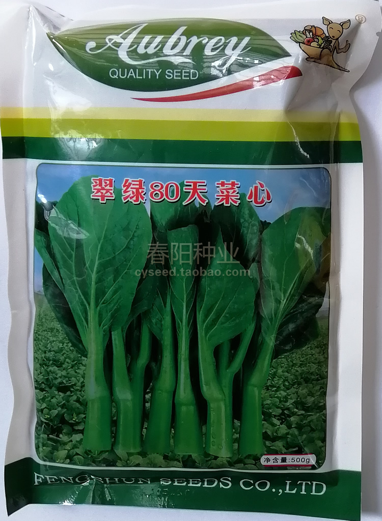 翠绿80天中晚熟叶片椭圆光泽菜心