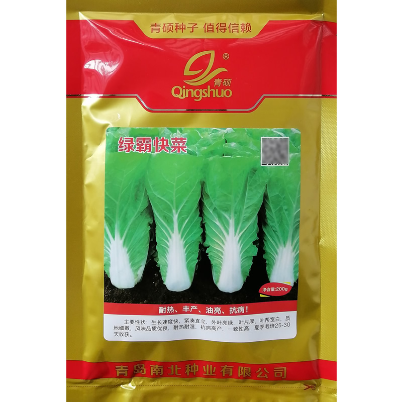 种子快菜四季播速生耐热叶厚