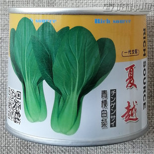 夏越青梗菜种子北京硕源绿梗窄帮青菜小油菜种籽耐热耐湿早熟青菜