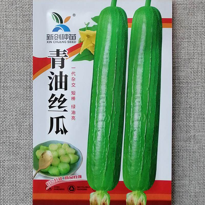 青油丝瓜种子杂交短棒绿油亮丝瓜种籽油皮香丝瓜优质味浓肉厚高产