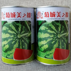 菊城美之都西瓜种子皮深绿大红肉
