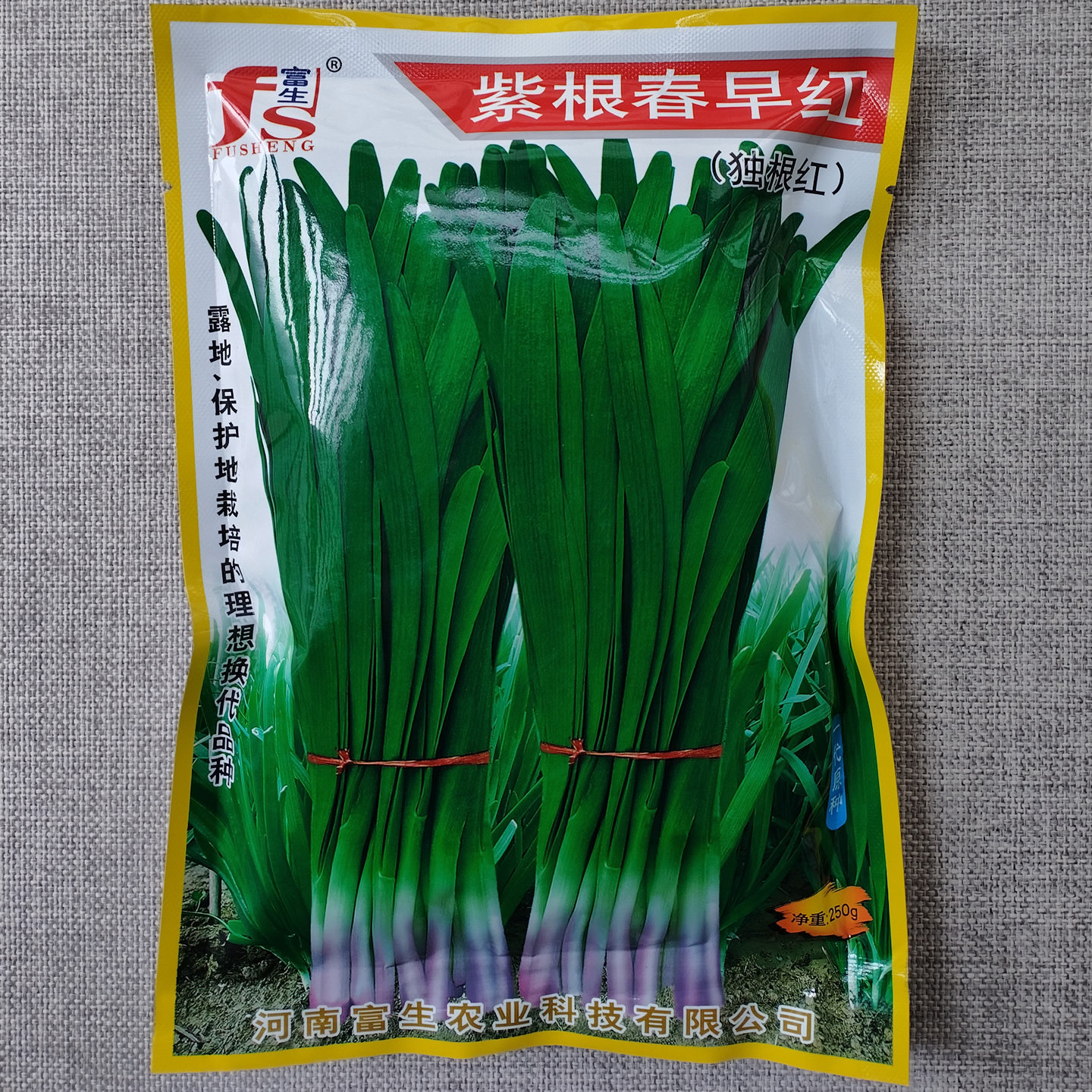 紫根春早红韭菜种子优质独根红