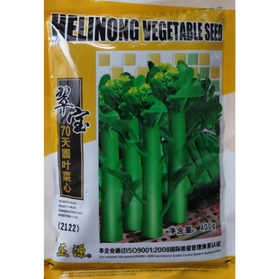 翠宝70天圆叶菜心种子矮脚粗条甜脆无渣晚熟甜菜苔种籽油绿有光泽