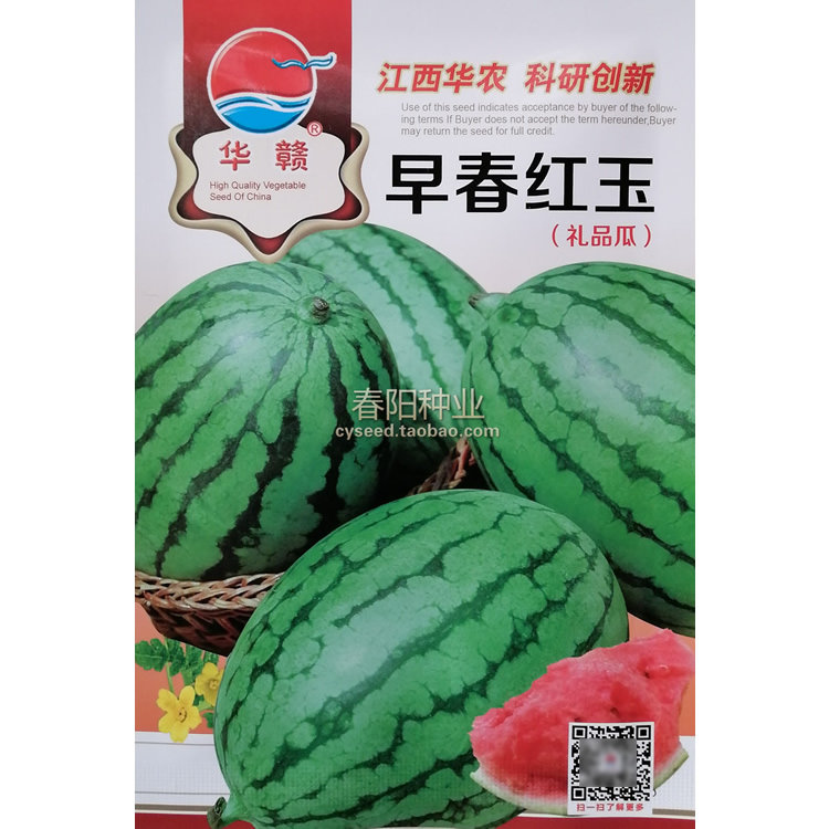 早春红玉西瓜种子耐运输