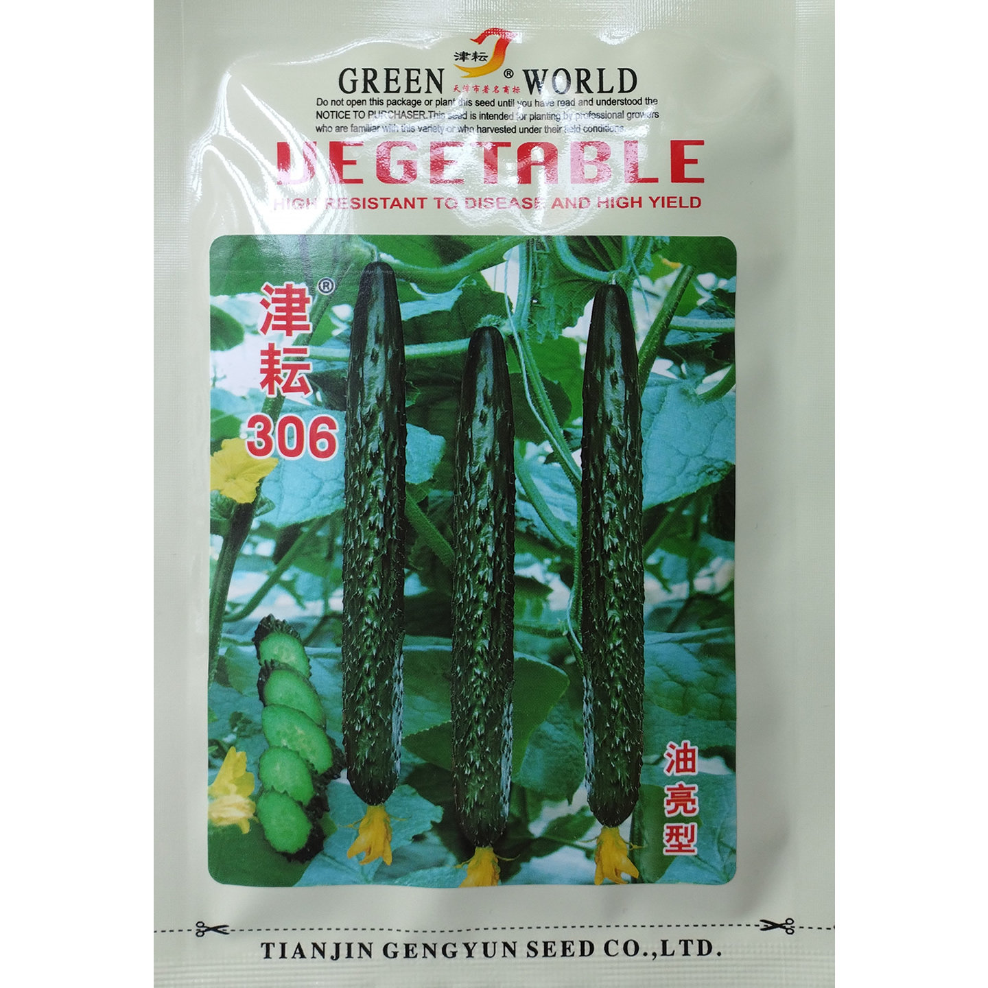 津耘306早熟强雌油亮型黄瓜种子