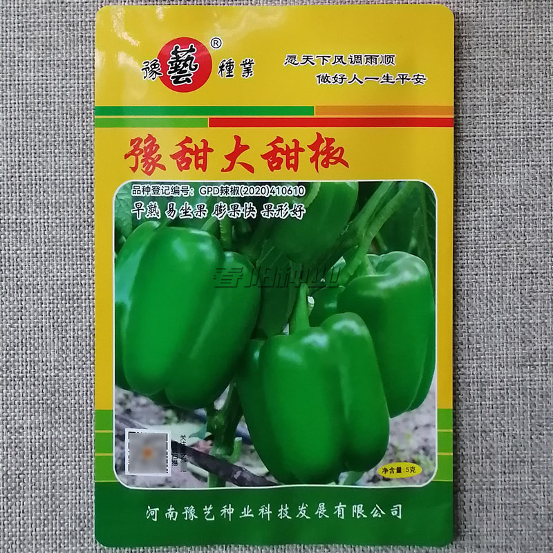 果型方正高产豫艺甜椒种子