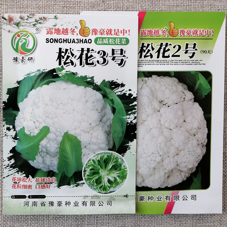 松花2号3号越冬青梗松花菜种子