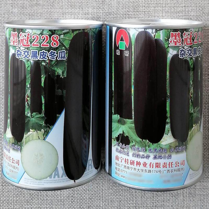桂研墨冠228杂交黑皮冬瓜种子