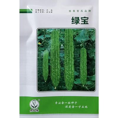 苦瓜种子荷兰引进绿宝单重一斤多
