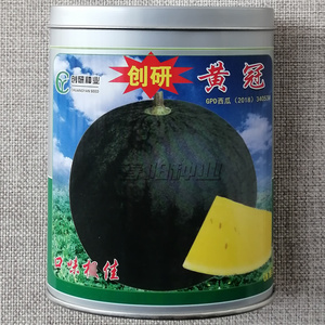 黄瓤西瓜种子创研黄冠黄肉种籽