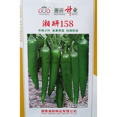 湘研158辣椒种子高产牛角椒种籽