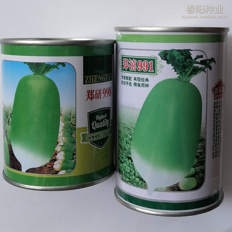 郑研998郑禧991萝卜种子经典791水果萝卜种籽根形美观口感脆甜