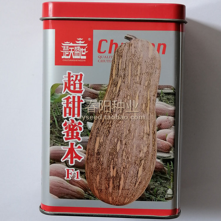 一代杂交 超甜蜜本南瓜种子 肉质细腻 粉质香甜 高产面甜南瓜种籽,鲜花速递/花卉仿真/绿植园艺,家庭园艺种子,淘宝优惠券,粉丝福利购,淘宝优惠卷