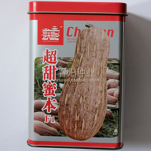 杂交种子香甜高产蜜本南瓜