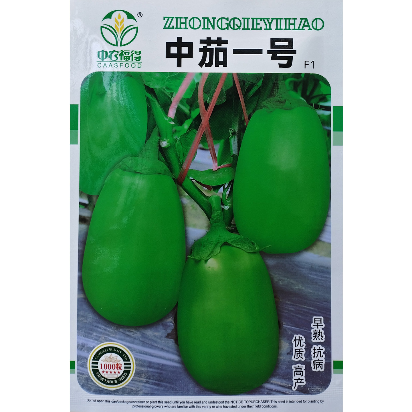 中茄一号杂交早熟绿茄种子果皮光滑亮绿耐热抗病高产优质茄子种籽