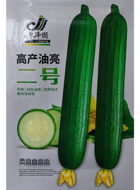 高产早熟杂交油亮二号丝瓜种子