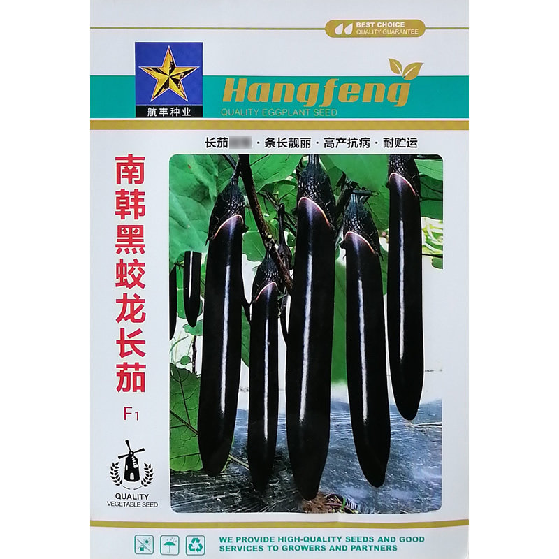 南韩黑蛟龙长茄种子 条长早熟 黑茄子种子 高产 蔬菜基地墨茄品种
