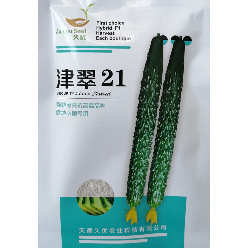 津翠21强雌油亮黄瓜种子瓜条深绿