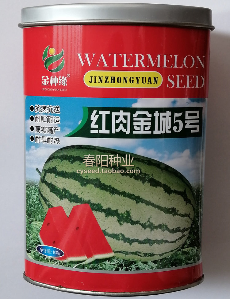 金种缘 红肉金城5号西瓜种子 硒砂瓜 五号西瓜 花皮大果高糖高产