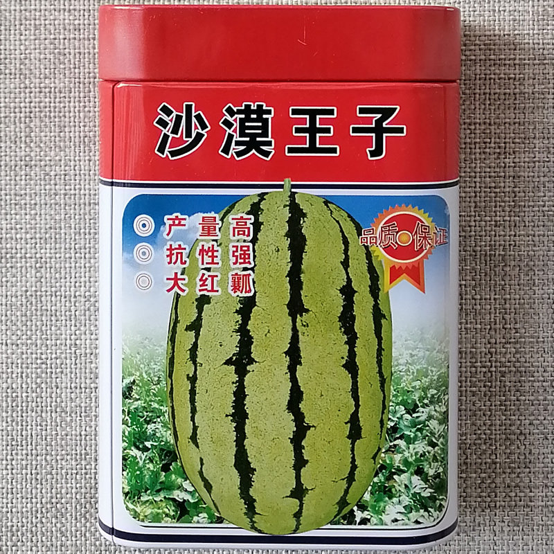 嘉禾沙漠王子西瓜种子花皮椭圆大果西瓜种籽高产抗病沙漠瓜大红瓤